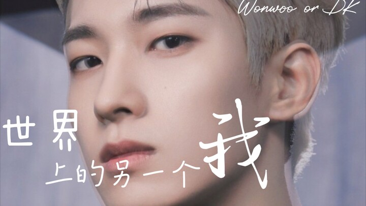 【Toàn Wonwoo】Seventeen đúng là có cặp song sinh thật sao?