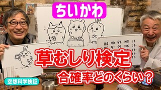 ［ちいかわ］草むしり検定５級合格するのは難しいの⁉　確率を計算する！