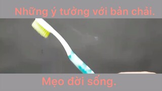 Những ý tưởng với bàn chải siêu hay