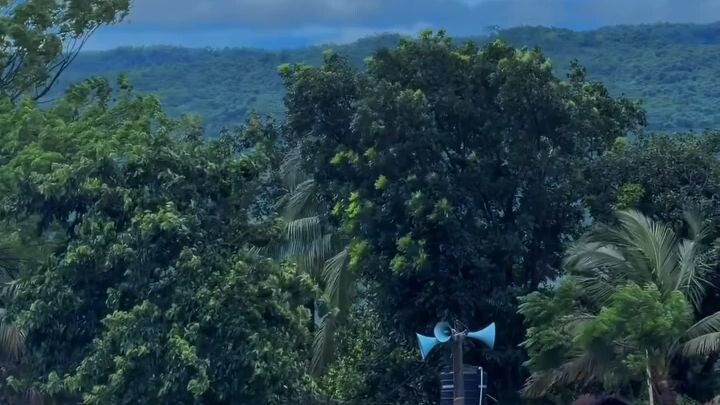 🍃 পৃথিবীর ⎯ 🤍 ⎯ মধুর সুর 🍃