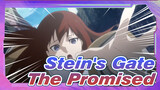[Stein's Gate] Toward The Promised Land