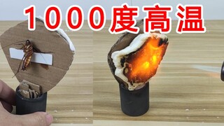 “烤面筋”能抵御住1000度高温？蟑螂的耐高温测试！