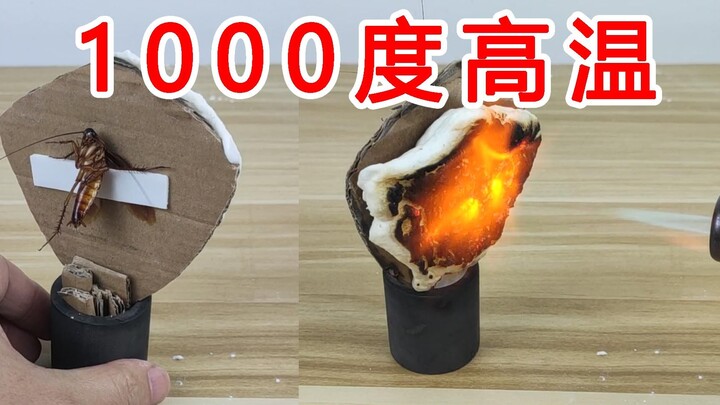 Can "roasted gl*" withstand 1,000-degree heat? High temperature resistance test of cockroaches!