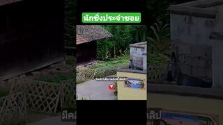 นักซิ่งประจำซอย