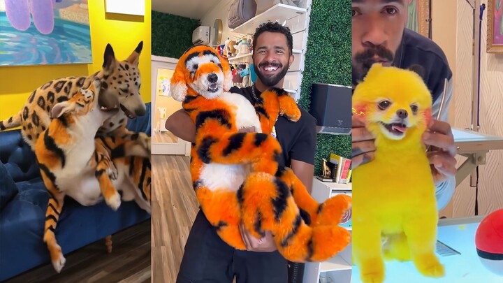 Biến hình cho cún cưng: Dạng thứ hai phiên bản cún!