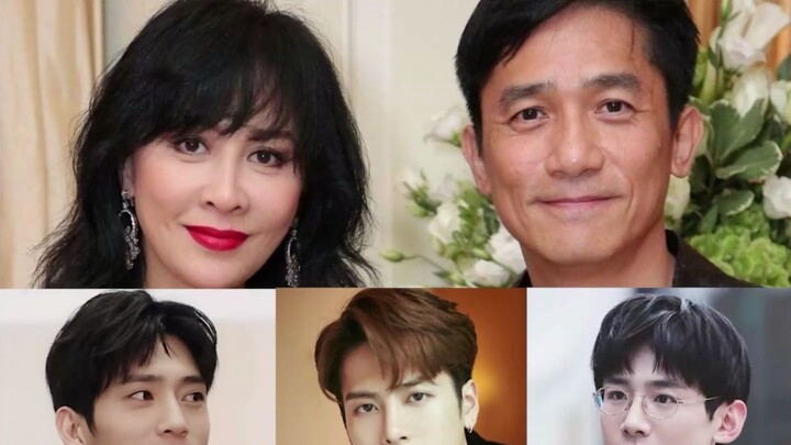 When a social bull meets a social phobia