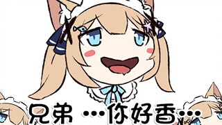 猫猫：兄弟，你好香【七分半看猫猫】
