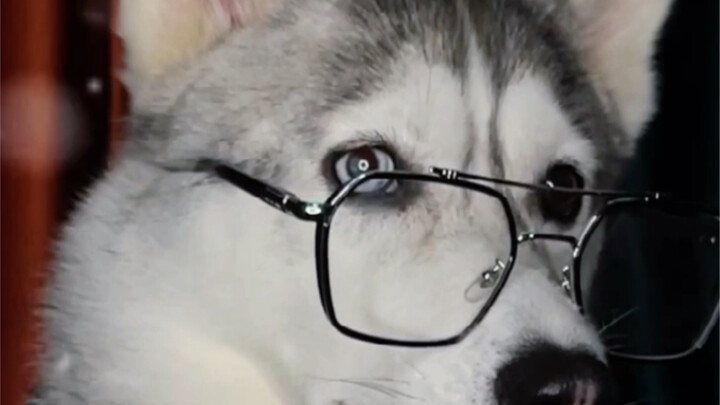 Bạn có thấy không, có thấy tình cảm sâu đậm trong mắt tôi không?