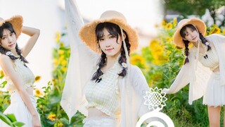 【Mì ăn liền】 Tương Dương❀ đang là mùa hè ~ có rất nhiều hoa hướng dương ~
