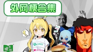 【梗百科】Hamburger↗↘？点赞剪衣服？无敌少侠OC？外网梗合集再次袭来！