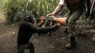 القرد: سأعلمك كيفية التحكم في بندقية AK47!