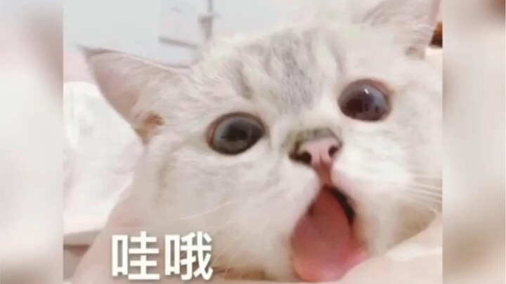 Finally found the original video～