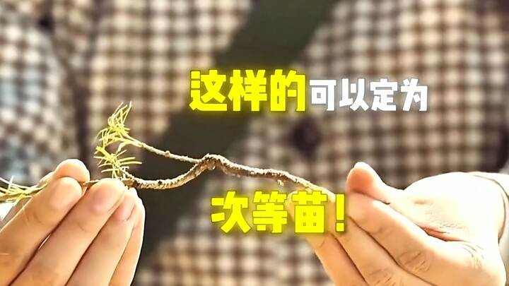 ความจริงก็เป็นเช่นนี้เอง