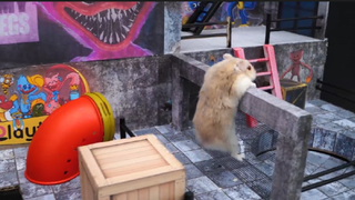 ภารกิจของหนูแฮมสเตอร์ EP 216