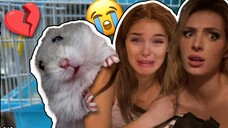 I LOST MY PET IN 5 MINUTES I CRIED **EMOTIONAL REACTION** | Brighton Sharbino