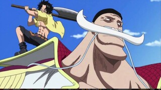 [Awang] Apa sebenarnya yang Luffy katakan pada Roger? Bagaimana nasib keluarga D?