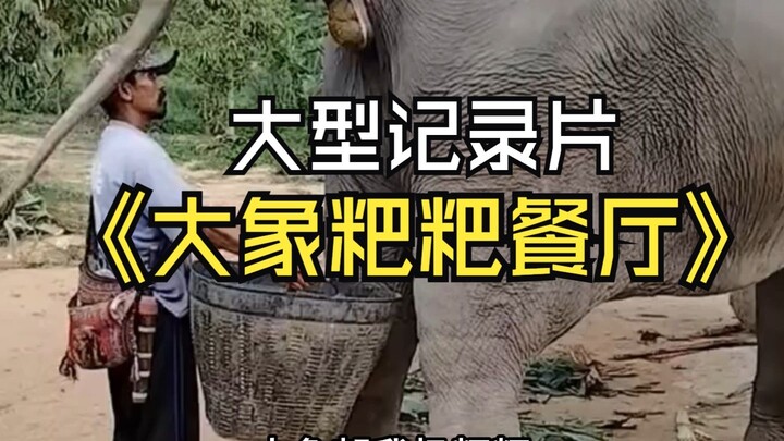 An elephant threw poop at me, so I turned it into pizza and sold it to Uncle Lu for 3,800!