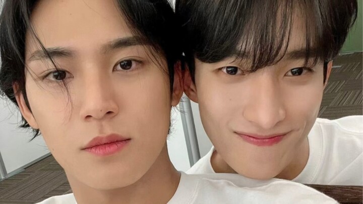 سيفنتين | كلاب كبيرة بطباع مختلفة!