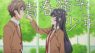【青春猪头】花会开，少年还会在吗？
