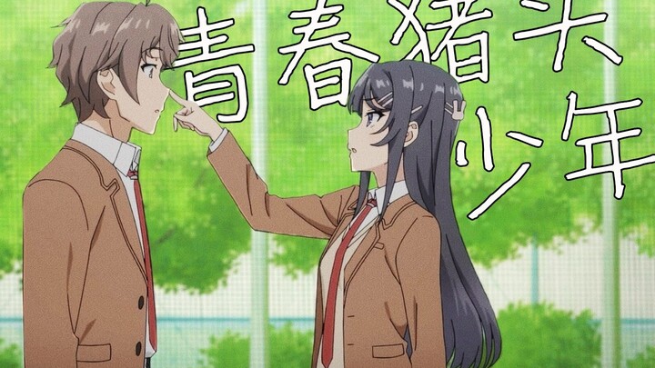【青春猪头】花会开，少年还会在吗？