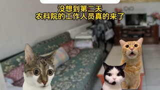 Đây là chuyên gia thực sự