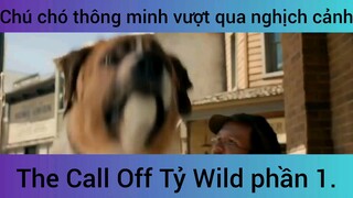 The Call Off Tỷ Wild chú chó thông minh