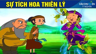 SỰ TÍCH HOA THIÊN LÝ - Phim Hoạt Hình - Truyện Cổ Tích - Quà Tặng Cuộc Sống - Khoảnh Khắc Kỳ Diệu