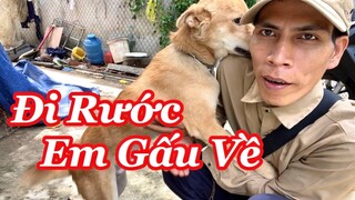 Ru Ngỗng Ngủ, Đi Rước Gấu Về & Và Bầy Vít Vít Mới Của Út Lục Bình