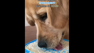 His cute face at the end!! 🥰🥰🥰🥺🥺