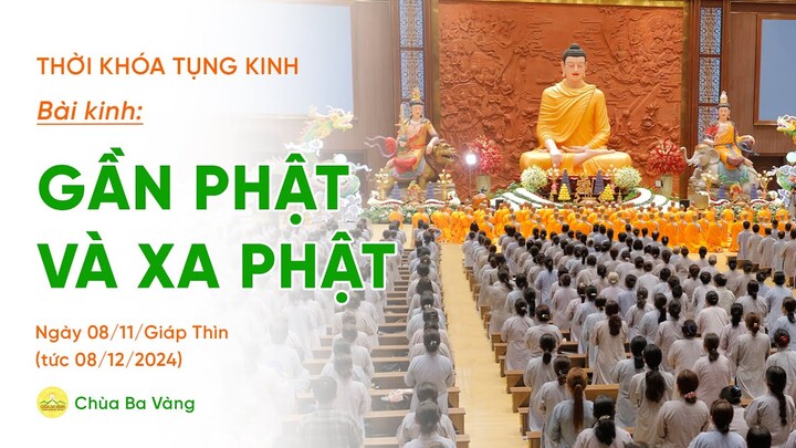 🔴[TRỰC TIẾP] Thời khóa tụng kinh tu tập Bát quan trai giới| Ngày 08/11/Giáp Thìn