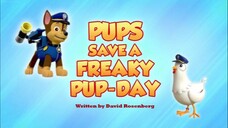 Paw patrol Musim _ Episode 13 original