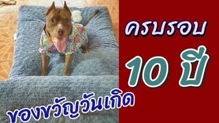 ของขวัญวันเกิด 10 ปี