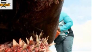 Siêu Cá Mập Megalodon Ăn Thịt Người  review phim Cá Mập Siêu Bạo Chúa 1 #phimhanhdong