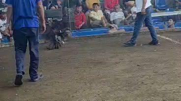 2 hits sa taal first fight lost 😔