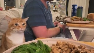 Aku Tidak Ingin Makan