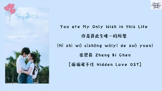 You are My Only Wish 你是我此生唯一的所愿 - 张碧晨 Zhang Bi Chen [偷偷藏不住 Hidden Love OST] lyrics