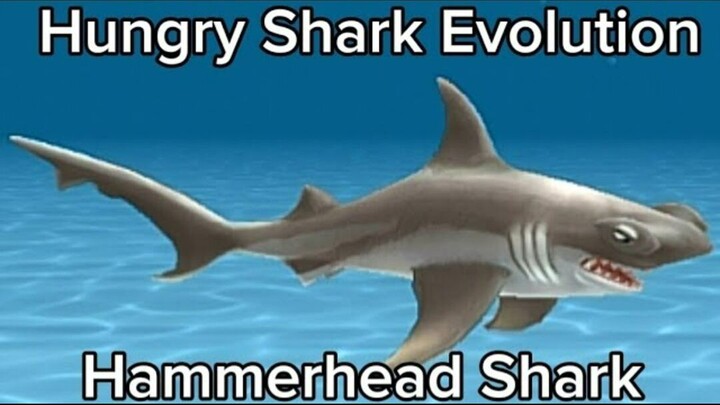 Hungry Shark Evolution (Hammerhead Shark) #BstationGamers #bestofbest