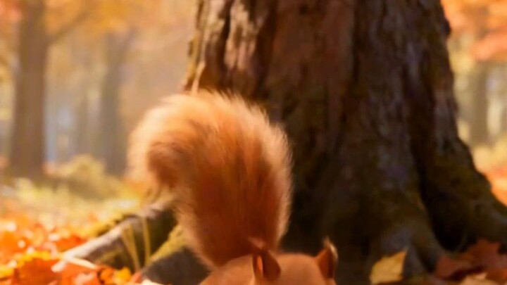 tupai melompat yang pelupa