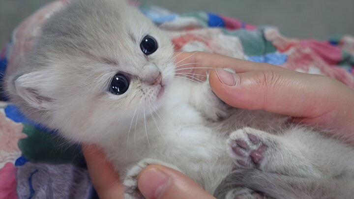 مهما حاولت تدغدغها، ما تقاوم وبيها طاقة دلع مفرطة... من يحتمل هالشي؟!