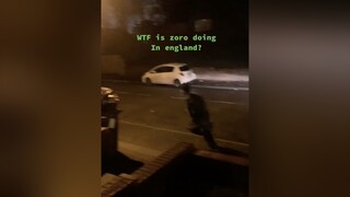 Zoro lost again anime animeedit animefan onepiece zoro cosplay sword weeb otaku luffy onepiecefan foryoupage fyp fy viral memes aot