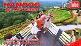 Handog - The cousins (Original Pilipino Music)