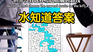 用「水」就能走出迷宫❗️你知道「马兰戈尼效应」嘛❓