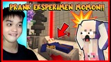PRANK TEMPAT EKSPERIMEN MANUSIA !! MOMON SAMPE KETAKUTAN DAN MENANGIS !! Feat @Momon Minecraft