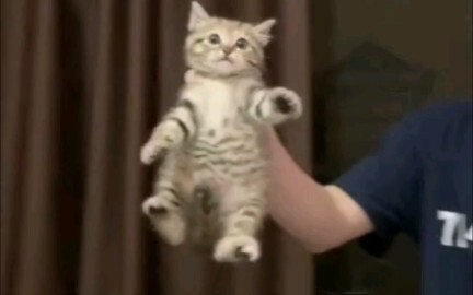 Em bé dễ thương bị bắt trong trò trốn tìm