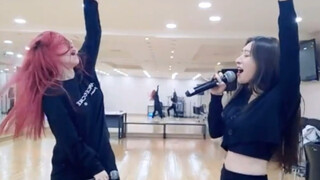 تعالوا نرى الراقصة الرئيسية تقدم نغمات عالية! النسخة الحية من BOCA ft. شو يان