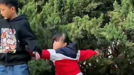 Kasih Sayang Kakak Beradik