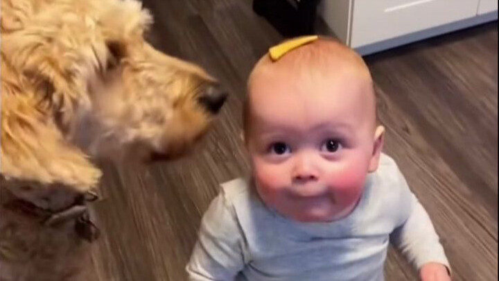 On How Cute Human Babies Are