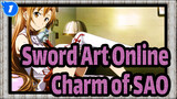 [Sword Art Online] Let's Feel the Charm of SAO!_1
