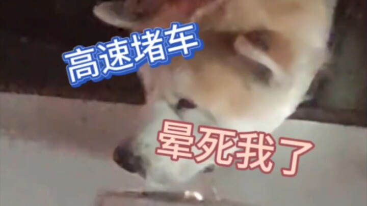 You said you were going out to have fun and dragged me along—what am I supposed to do? This is reall