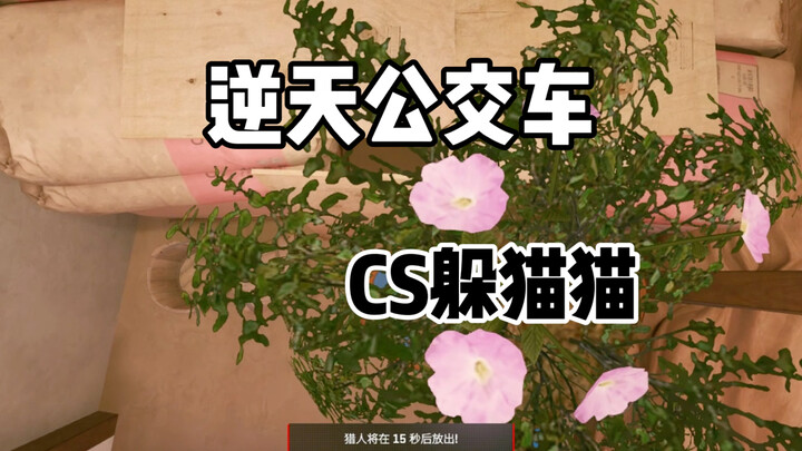 CS2 ซ่อนหา: มันเกินไปแล้วนะ